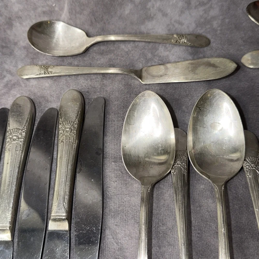 WM Rogers BELOVED 40ct Silver Plated Flatware Set with Forks, Spoons, Knives